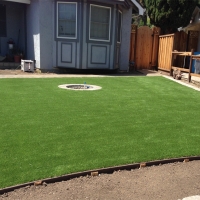 Artificial Grass Carpet Congress, Arizona City Landscape, Backyard Design