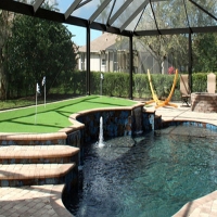 Artificial Lawn Bisbee, Arizona Backyard Playground, Natural Swimming Pools