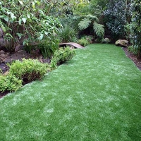 Artificial Lawn Cave Creek, Arizona Landscaping, Backyard