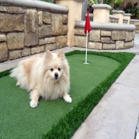 Artificial Lawn Tonto Basin, Arizona Home Putting Green, Backyard Makeover
