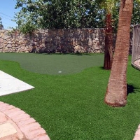 Artificial Turf Installation Peach Springs, Arizona Landscape Photos, Backyard Designs