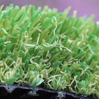 W Blade-80 W Blade-80