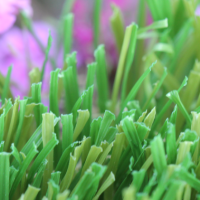 W Blade-80 W Blade-80