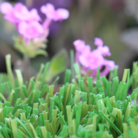 W Blade-80 W Blade-80