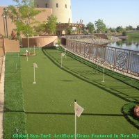 Best Artificial Grass Glendale, Arizona Roof Top, Backyard Makeover