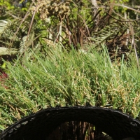 Backyard artificial grass green olive thatching red fake flower forest background synthetic turf trees lawn landscape ideas Backyard artificial grass green olive thatching red fake flower forest background synthetic turf trees lawn landscape ideas