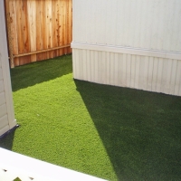 Fake Lawn Alpine, Arizona Dog Running, Backyard Makeover