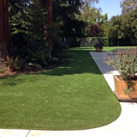 Grass Installation Mountainaire, Arizona Cat Playground, Front Yard Landscape Ideas