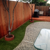Grass Turf Wittmann, Arizona Pet Paradise, Beautiful Backyards