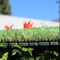 Shock Pads Shock Pads