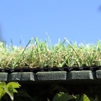 Shock Pads Shock Pads