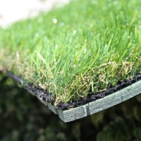 Shock Pads Shock Pads