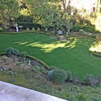 Lawn Services Anegam, Arizona Watch Dogs, Backyard Ideas