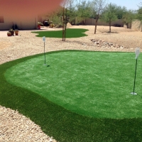 Lawn Services Globe, Arizona Putting Green Grass, Backyard Landscape Ideas