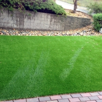 Synthetic Grass Cost Three Points, Arizona Dog Grass, Backyard Designs
