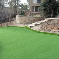 Synthetic Grass Sun City, Arizona Putting Green, Small Backyard Ideas