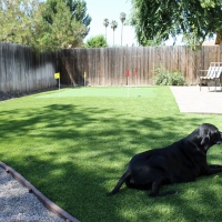 Synthetic Turf Supplier Miami, Arizona Design Ideas, Backyard Design