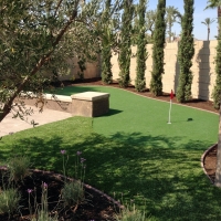 Turf Grass Red Rock, Arizona Putting Green Grass, Backyard Ideas