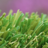 W Shape Blade 80 oz. artificial grass turf W Shape Blade 80 oz. artificial grass turf