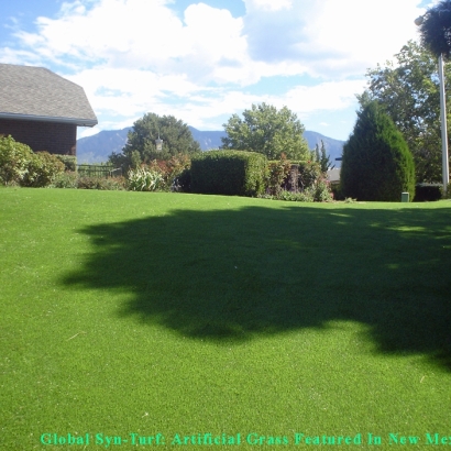 Artificial Grass Carpet Tolleson, Arizona Home And Garden, Beautiful Backyards