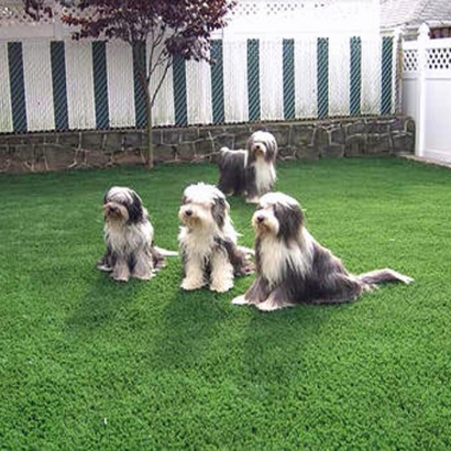 Artificial Grass Christopher Creek, Arizona Home And Garden, Backyard Garden Ideas