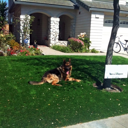 Artificial Grass Installation Black Canyon City, Arizona Watch Dogs, Front Yard Ideas