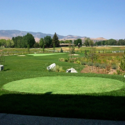 Artificial Grass Installation Santa Cruz, Arizona Putting Green, Backyard Designs