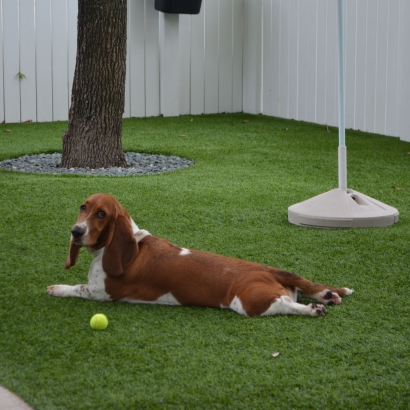 Artificial Grass Installation Williamson, Arizona Dog Run, Grass for Dogs