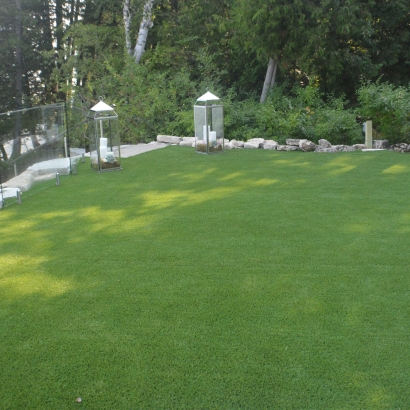Artificial Grass Pisinemo, Arizona Landscape Rock, Backyard Garden Ideas
