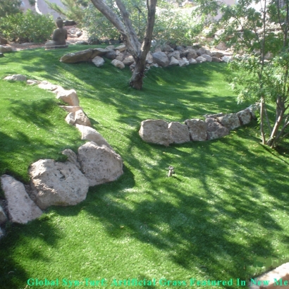Artificial Lawn Scottsdale, Arizona Roof Top, Commercial Landscape