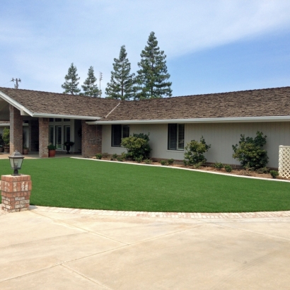 Artificial Turf Cost Sells, Arizona Garden Ideas, Front Yard Design