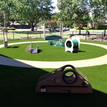 Best Artificial Grass Cutter, Arizona Landscape Photos, Commercial Landscape