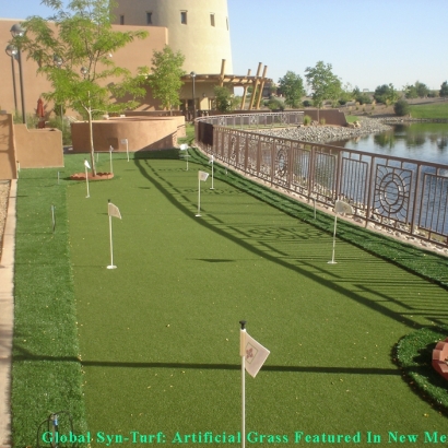 Best Artificial Grass Glendale, Arizona Roof Top, Backyard Makeover
