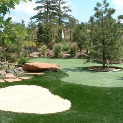 Best Artificial Grass Globe, Arizona Garden Ideas, Backyard Designs