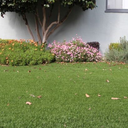 Best Artificial Grass Kaka, Arizona Landscaping, Landscaping Ideas For Front Yard