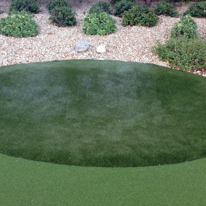 Best Artificial Grass Mammoth, Arizona Backyard Playground