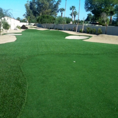 Best Artificial Grass Whiteriver, Arizona Diy Putting Green