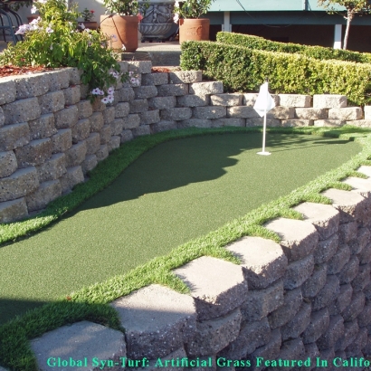Fake Grass Carpet Tempe, Arizona Gardeners, Backyard Designs