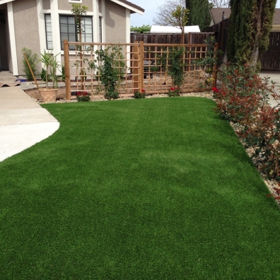 Fake Lawn Dewey-Humboldt, Arizona Landscaping Business, Front Yard Landscaping Ideas