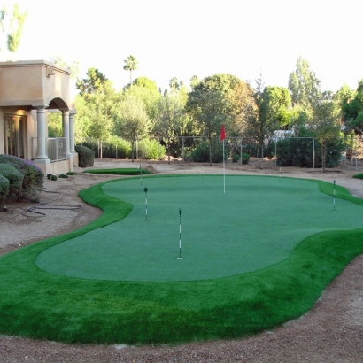 Fake Turf Clifton, Arizona Home Putting Green, Backyard Landscaping Ideas