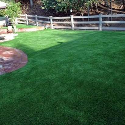 Faux Grass Willcox, Arizona Lawn And Landscape, Backyard Designs