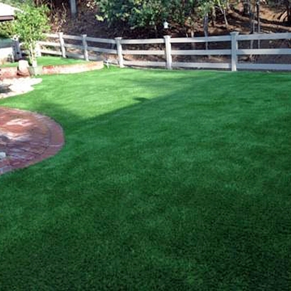Faux Grass Willcox, Arizona Lawn And Landscape, Backyard Designs