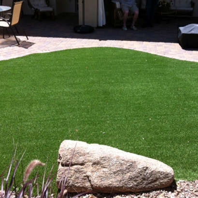 Grass Carpet Clarkdale, Arizona Grass For Dogs, Backyard Ideas