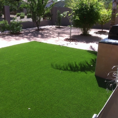 Grass Carpet Copper Hill, Arizona Indoor Dog Park, Backyard Landscaping