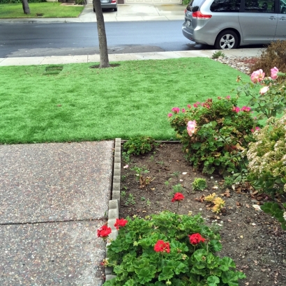 Grass Carpet New Kingman-Butler, Arizona Gardeners, Front Yard Landscape Ideas