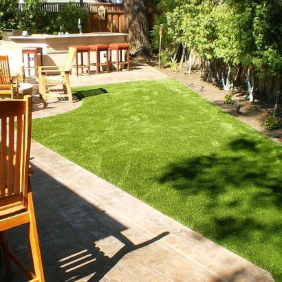 Green Lawn Avra Valley, Arizona Fake Grass For Dogs, Backyards