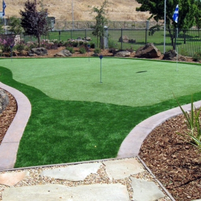 Green Lawn Jeddito, Arizona Office Putting Green, Backyard Landscaping Ideas