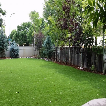 Green Lawn Tempe, Arizona Design Ideas, Backyard Landscaping