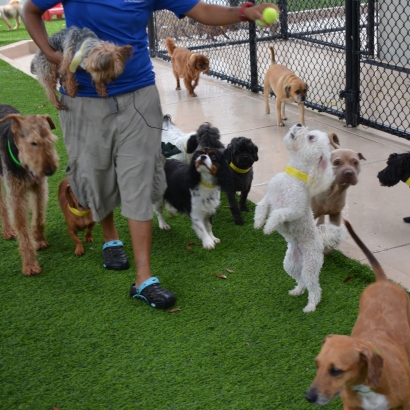 Installing Artificial Grass Tonto Village, Arizona Artificial Turf For Dogs, Grass for Dogs