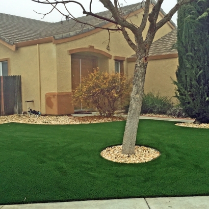 Lawn Services Central Heights-Midland City, Arizona Lawn And Garden, Front Yard